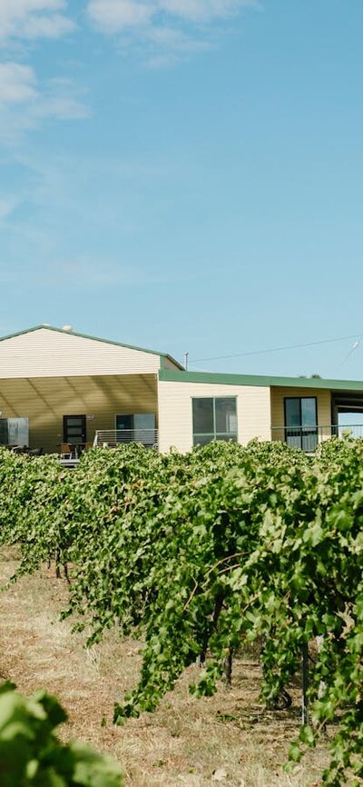 The Vintner's Daughter cellar door and vineyard