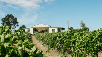 The Vintner's Daughter cellar door and vineyard