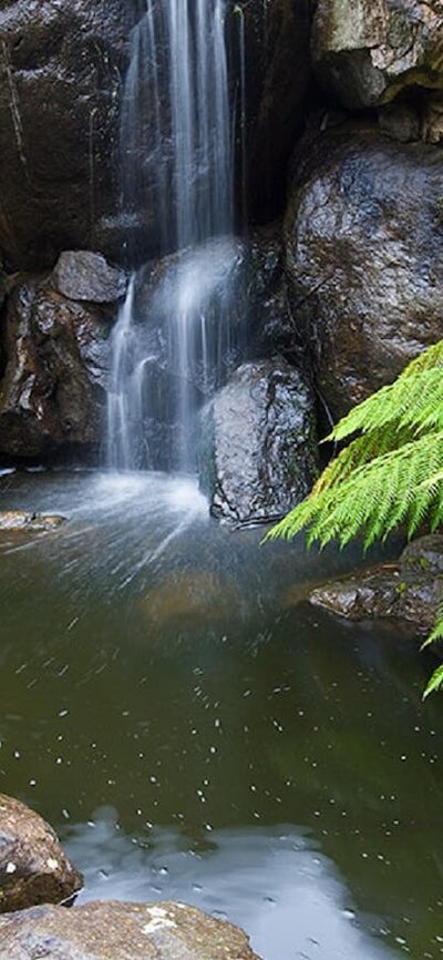 Rock Garden Waterfall