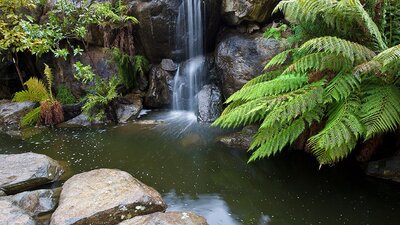 Rock Garden Waterfall