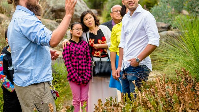 Learn about the world's largest collection of Australian Native Plans Garden's Ranger with international visitors