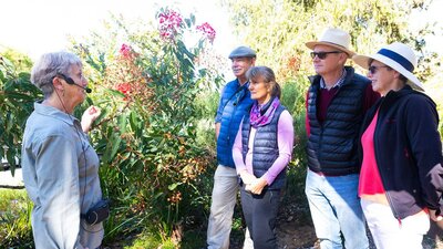 A volunteer guides leads a free guided walk