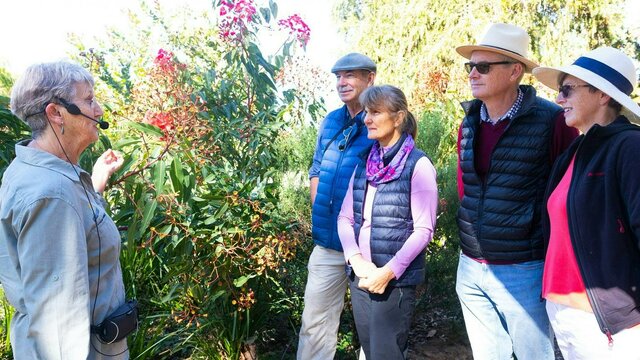 Join a free guided walk at the Australian National Botanic Gardens A volunteer guides leads a free guided walk