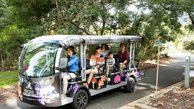 Hop onboard the Flora Explorer and discover the secrets of Australian plants Adults and children on board the Flora Explorer electric bus
