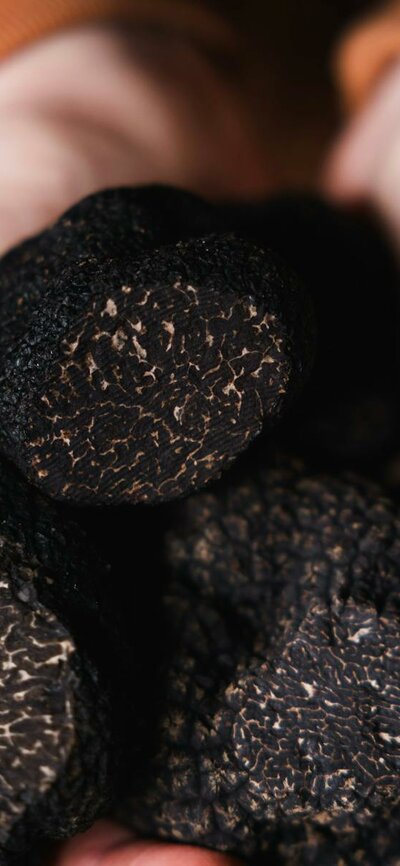 Truffle Hunt