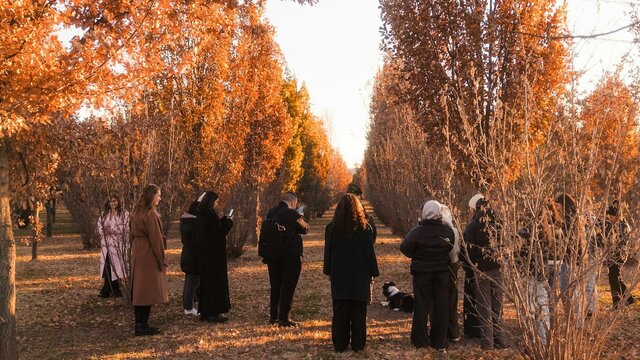Truffle Hunt Hunt