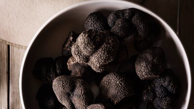 Truffle Harvest