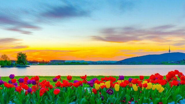 Floriade