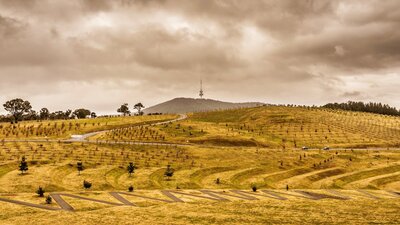 CGT Highlights Tour - National Arboretum Canberra