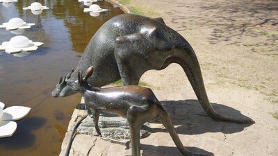 Canberra Sightseeing Tour Bronze Kangaroos Commonwealth Park Canberra