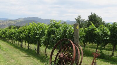 Canberra Winery Tour gourmet winery tour winery lunch tour Canberra Winery dinner tour