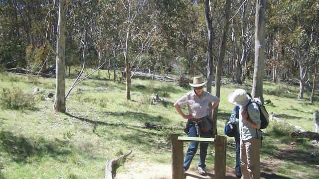 Enjoy walking the Settlers Track in Namadgi National Park Three women reading sign board in open woodland