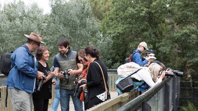 Photography tour group at the Zoo