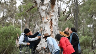 Tour guide and group outdoors learning about the land