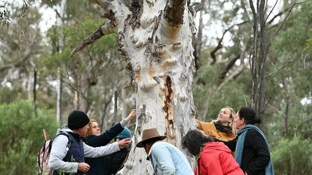 Tour guide and group outdoors learning about the land