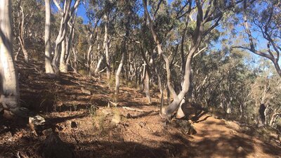 The landscape on Black Mountain