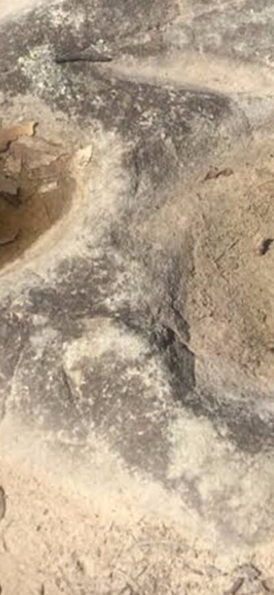 Grinding grooves in Theodore Aboriginal grinding grooves