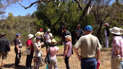 Tour group on Mount Majura with an Aboriginal Guide