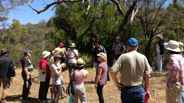 Mount Majura tour group Tour group on Mount Majura with an Aboriginal Guide