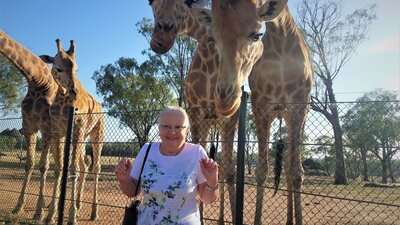 woman standing in front of giraffes