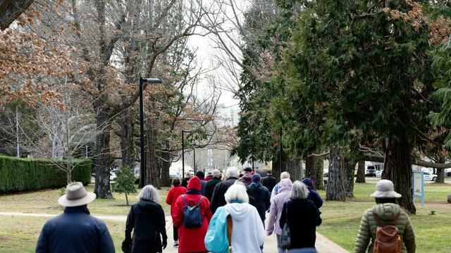 A group of people walking on a tree lined path