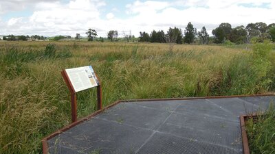 Jerrabomberra Wetlands Boardwalk Kelly's Swamp