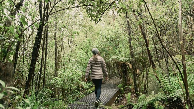 Cascades Trail Woman walking along forest pathway surrounded by green ferns and tree canopy