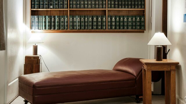 A leather lounge below a bookcase