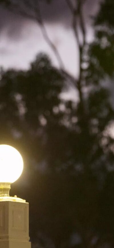 Light globes against a night sky