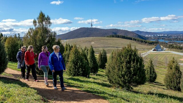 Learn more about the trees of the National Arboretum Guided walk in the forests of the Arboretum