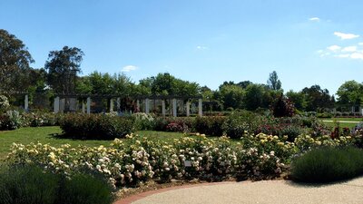 Broinowski Garden