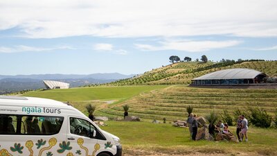 Ngala bus viewing stop