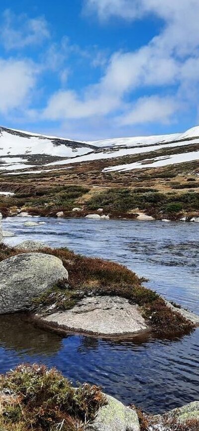 Snowy Mountains