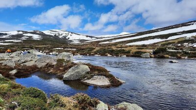 Snowy Mountains