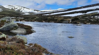 Snowies landscape