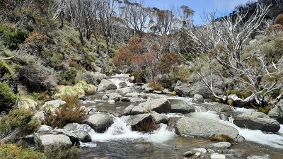 Thredbo River