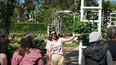 Local guide