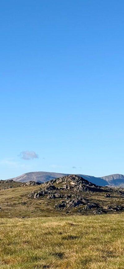 A wide open rolling mountain with bigger mountains in the distance.