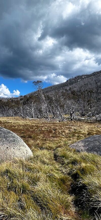 A collection of rocks in flat grassland with a mountain in the distance.