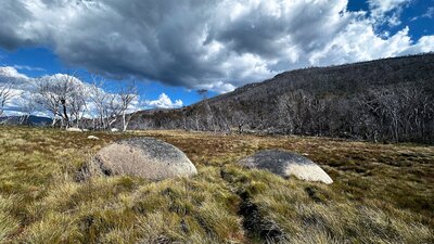 A collection of rocks in flat grassland with a mountain in the distance.