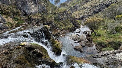 The top of a waterfall leaving into a pool of water with some rocks.