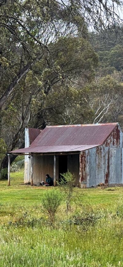 A metal hut in the middle of a grassy open plain.