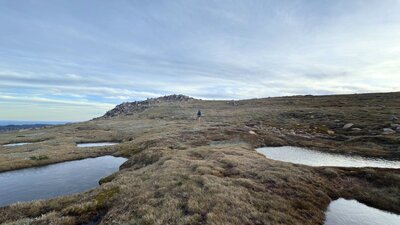 A few alpine bogs across rolling terrain with an overcast sky.