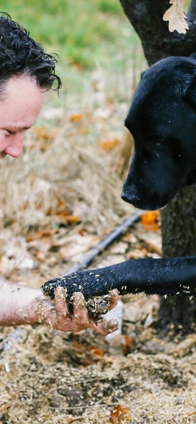 Farmer with his dog and truffle