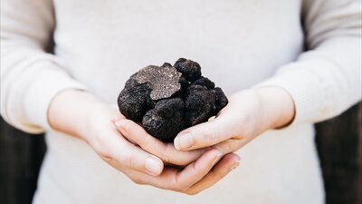 Truffle Hunt