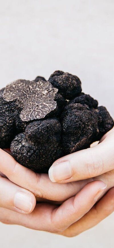 Truffle Hunt