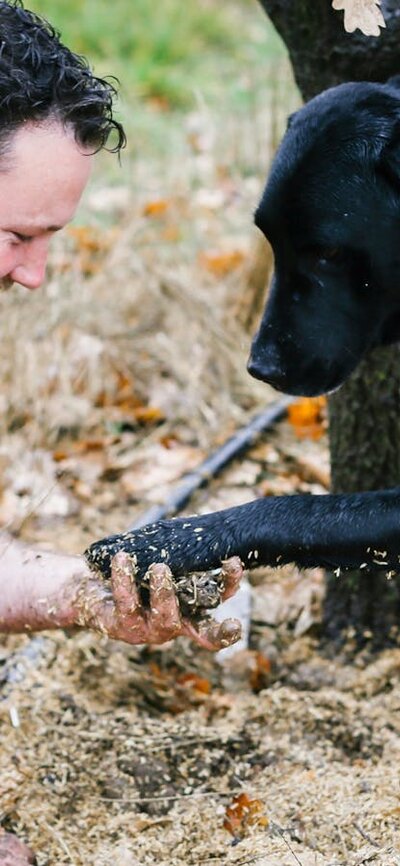 Dog and farmer with the truffle