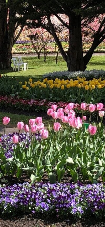 Canberra Floriade