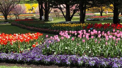 Canberra Floriade