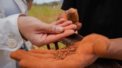 Hands touching dirt